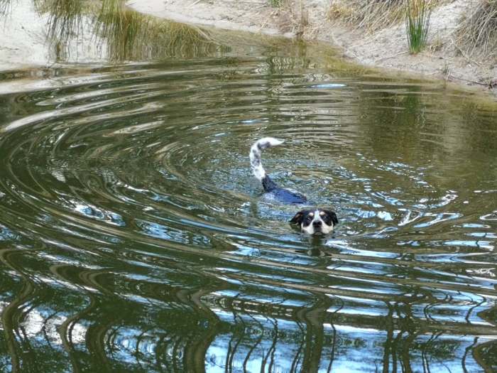 97357754_1074099399644038_2932193925533794304_n