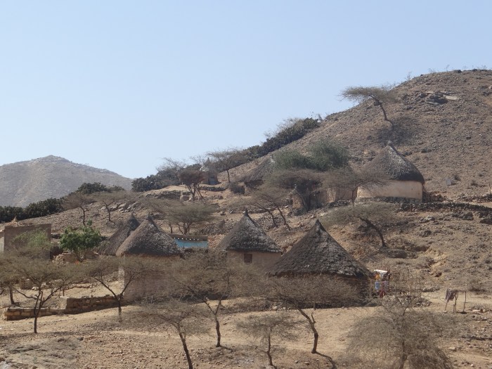 Tam gdzie rosną baobaby 12