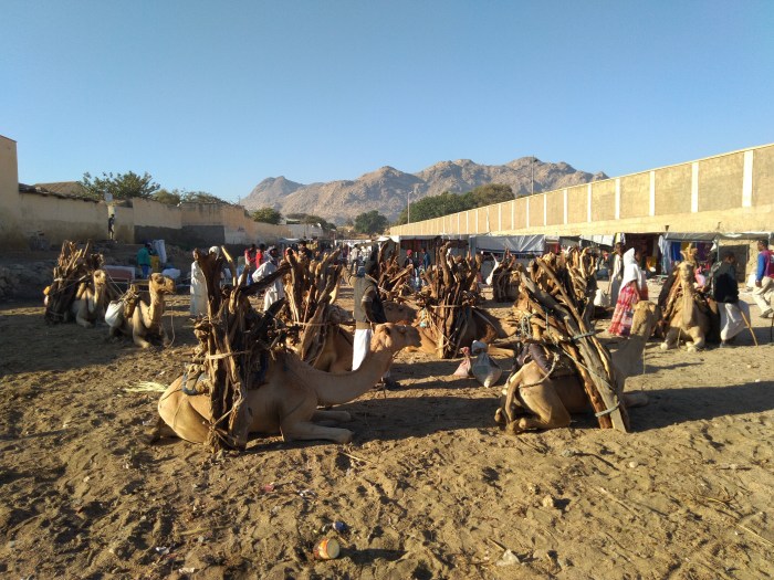 Tam gdzie rosną baobaby 7