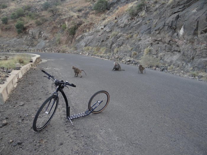 Tam gdzie rosną baobaby 9